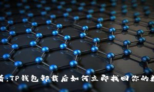 2025必看：TP钱包卸载后如何立即找回你的数字资产？