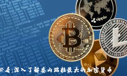   
“2025必看：深入了解委内瑞拉最大的加密货币——石油币！