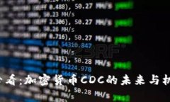 2025必看：加密货币CDC的未