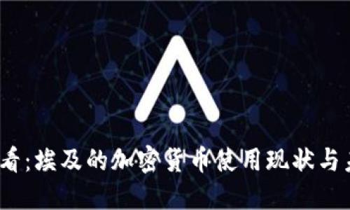 2025必看：埃及的加密货币使用现状与未来趋势