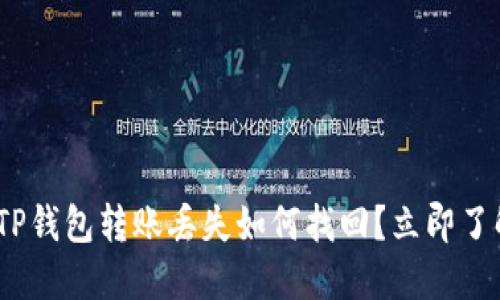 2025必看：TP钱包转账丢失如何找回？立即了解解决方案！