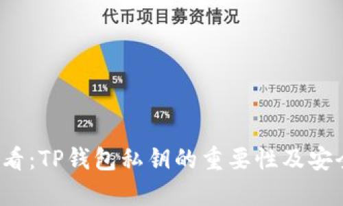 2025必看：TP钱包私钥的重要性及安全性解析