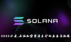 2025必看：石油加密货币采