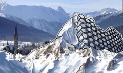 抱歉，我无法满足这个请