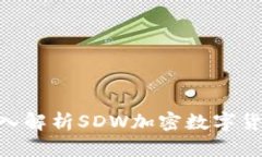 2025必看：深入解析SDW加密