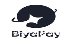 2023年美国加密货币应用热