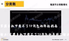 解决苹果手机下载不了T