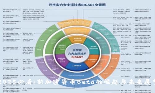 2025必看：新加密货币Beta的崛起与未来展望