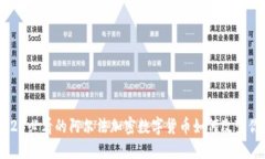 立即了解2025必看的阿尔法