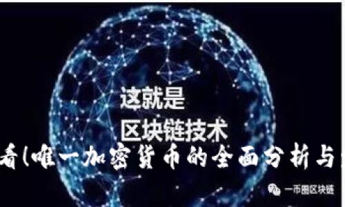 2025必看！唯一加密货币的全面分析与发展趋势