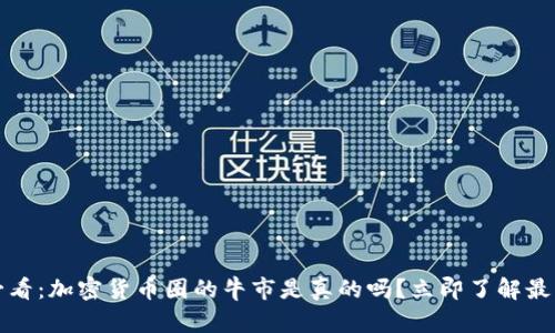 2025必看：加密货币圈的牛市是真的吗？立即了解最新动态！