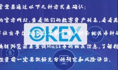 关于“Musk币”在TP钱包中