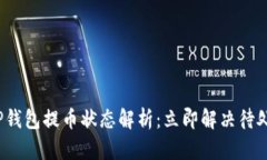 2023年最新TP钱包提币状态