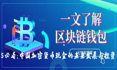 2025必看：中国加密货币现金的未来发展与投资机会