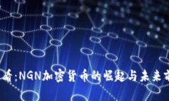 2025必看：NGN加密货币的崛