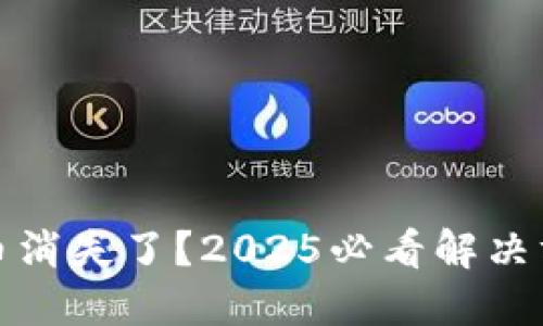 TP钱包代币消失了？2025必看解决方案与技巧
