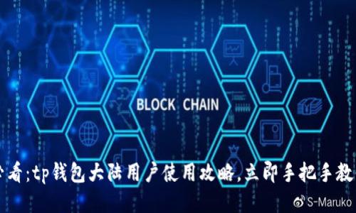 2025必看：tp钱包大陆用户使用攻略，立即手把手教你上手！