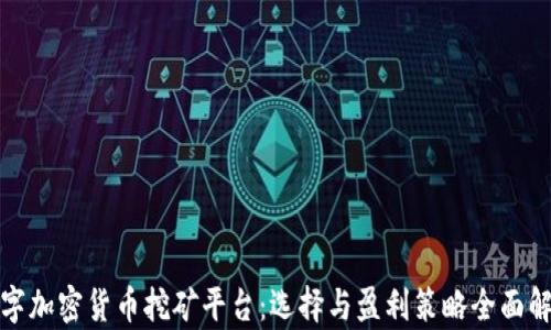 
数字加密货币挖矿平台：选择与盈利策略全面解析