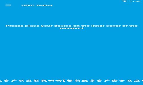 TP钱包资产被盗能找回吗？解析数字资产安全及应对措施