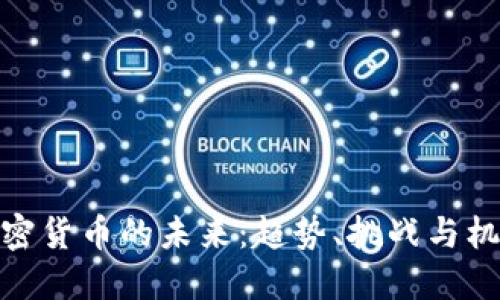 加密货币的未来：趋势、挑战与机遇