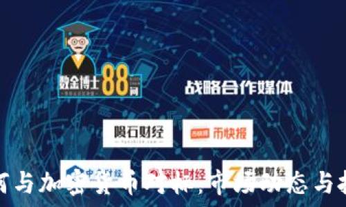   
美元如何与加密货币对标：市场动态与投资策略