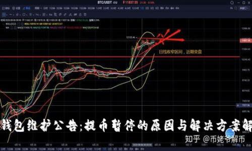 TP钱包维护公告：提币暂停的原因与解决方案解析