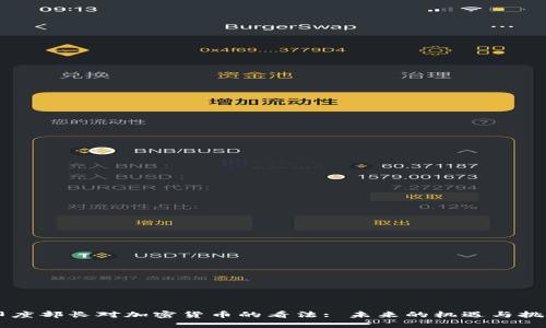 印度部长对加密货币的看法: 未来的机遇与挑战