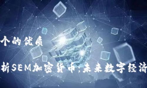 思考一个的优质

深入解析SEM加密货币：未来数字经济的核心