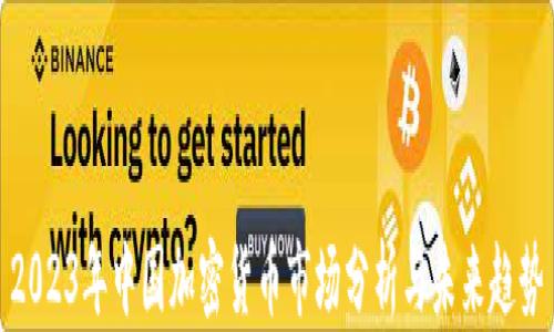 
2023年中国加密货币市场分析与未来趋势