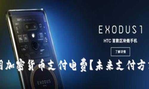 如何利用加密货币支付电费？未来支付方式的变革