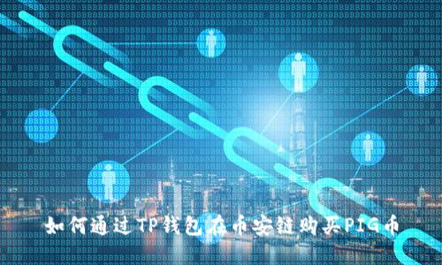 如何通过TP钱包在币安链购买PIG币