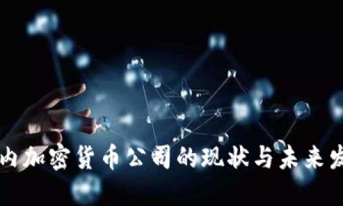 国内加密货币公司的现状与未来发展