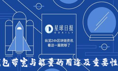   
TP钱包带宽与能量的用途及重要性分析