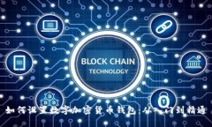 如何设置数字加密货币钱包：从入门到精通