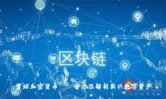 雪球加密货币——全方位