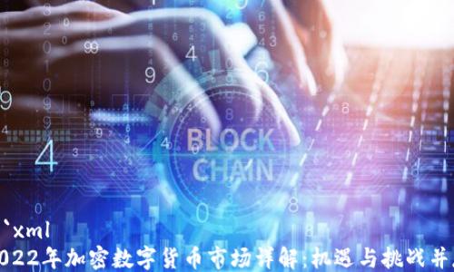 
```xml
2022年加密数字货币市场详解：机遇与挑战并存