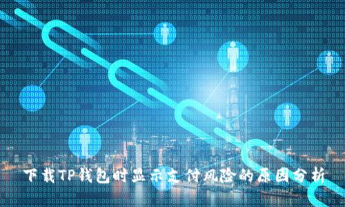下载TP钱包时显示支付风险的原因分析