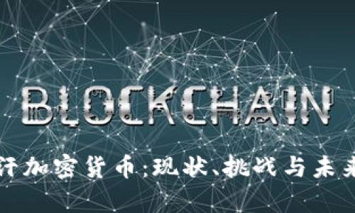 阿富汗加密货币：现状、挑战与未来发展