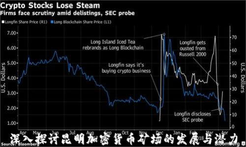 
深入探讨昆明加密货币矿场的发展与潜力