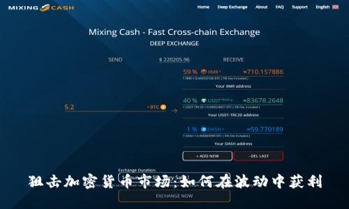 狙击加密货币市场：如何在波动中获利