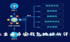 在TP上查看币安钱包地址的